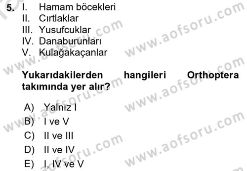 Entomoloji Dersi 2019 - 2020 Yılı (Vize) Ara Sınav Soruları 5. Soru