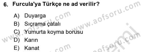 Entomoloji Dersi Ara Sınavı Deneme Sınav Soruları 6. Soru