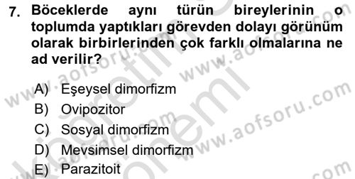 Entomoloji Dersi 2019 - 2020 Yılı (Vize) Ara Sınav Soruları 7. Soru