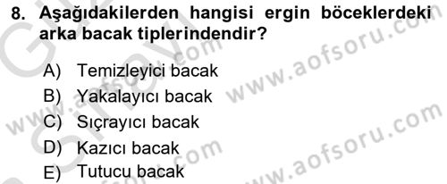 Entomoloji Dersi Ara Sınavı Deneme Sınav Soruları 8. Soru