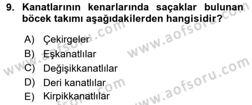 Entomoloji Dersi 2019 - 2020 Yılı (Vize) Ara Sınav Soruları 9. Soru