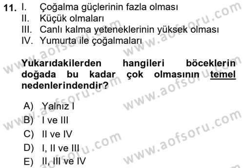 Entomoloji Dersi 2019 - 2020 Yılı (Final) Dönem Sonu Sınav Soruları 11. Soru