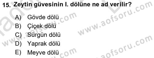 Entomoloji Dersi 2019 - 2020 Yılı (Final) Dönem Sonu Sınav Soruları 15. Soru