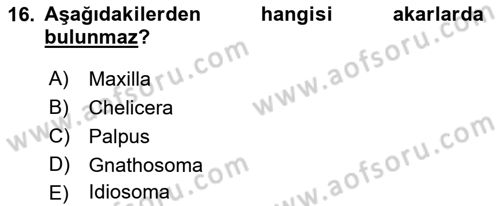 Entomoloji Dersi 2019 - 2020 Yılı (Final) Dönem Sonu Sınav Soruları 16. Soru