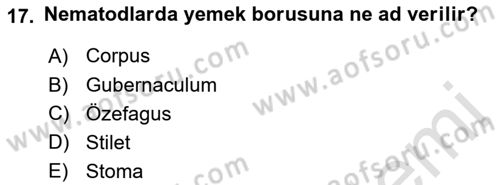 Entomoloji Dersi 2019 - 2020 Yılı (Final) Dönem Sonu Sınav Soruları 17. Soru