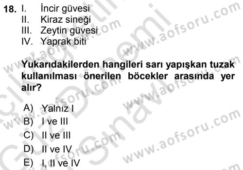 Entomoloji Dersi 2019 - 2020 Yılı (Final) Dönem Sonu Sınav Soruları 18. Soru