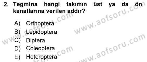 Entomoloji Dersi 2019 - 2020 Yılı (Final) Dönem Sonu Sınav Soruları 2. Soru