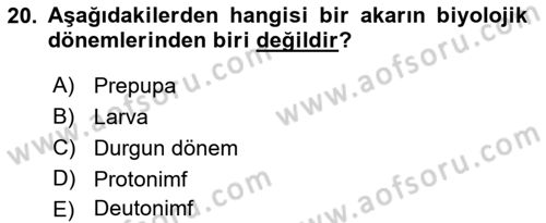 Entomoloji Dersi 2019 - 2020 Yılı (Final) Dönem Sonu Sınav Soruları 20. Soru