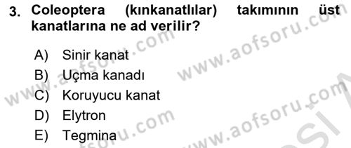Entomoloji Dersi 2019 - 2020 Yılı (Final) Dönem Sonu Sınav Soruları 3. Soru