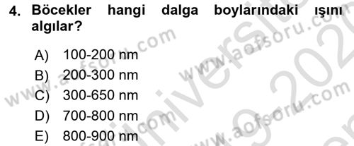 Entomoloji Dersi 2019 - 2020 Yılı (Final) Dönem Sonu Sınav Soruları 4. Soru