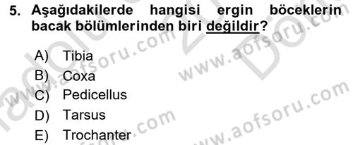 Entomoloji Dersi 2019 - 2020 Yılı (Final) Dönem Sonu Sınav Soruları 5. Soru