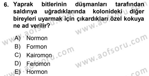 Entomoloji Dersi 2019 - 2020 Yılı (Final) Dönem Sonu Sınav Soruları 6. Soru