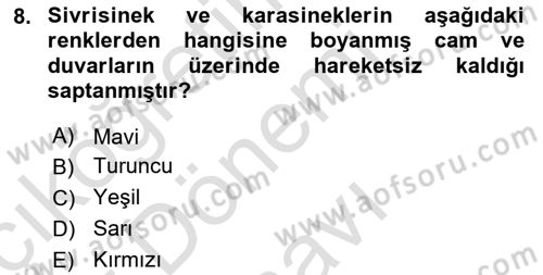 Entomoloji Dersi 2019 - 2020 Yılı (Final) Dönem Sonu Sınav Soruları 8. Soru