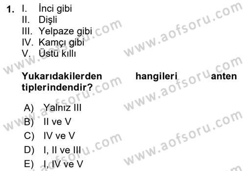Entomoloji Dersi 2020 - 2021 Yılı Yaz Okulu Sınav Soruları 1. Soru