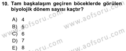 Entomoloji Dersi 2020 - 2021 Yılı Yaz Okulu Sınav Soruları 10. Soru