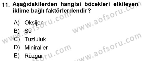 Entomoloji Dersi 2020 - 2021 Yılı Yaz Okulu Sınav Soruları 11. Soru