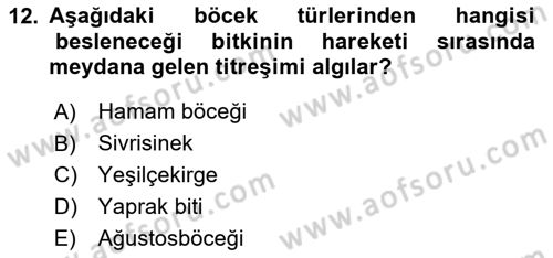 Entomoloji Dersi 2020 - 2021 Yılı Yaz Okulu Sınav Soruları 12. Soru