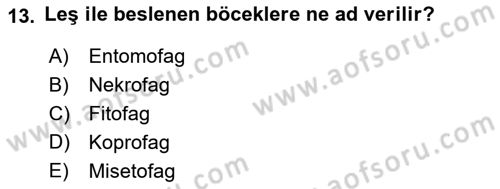 Entomoloji Dersi 2020 - 2021 Yılı Yaz Okulu Sınav Soruları 13. Soru