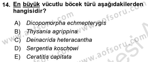 Entomoloji Dersi 2020 - 2021 Yılı Yaz Okulu Sınav Soruları 14. Soru