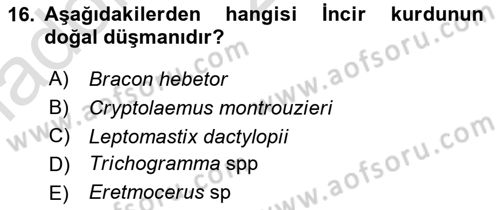 Entomoloji Dersi 2020 - 2021 Yılı Yaz Okulu Sınav Soruları 16. Soru
