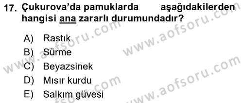 Entomoloji Dersi 2020 - 2021 Yılı Yaz Okulu Sınav Soruları 17. Soru
