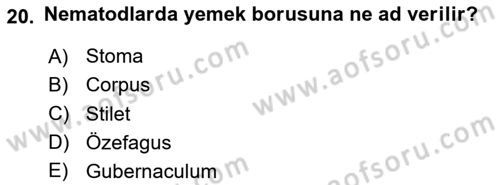 Entomoloji Dersi 2020 - 2021 Yılı Yaz Okulu Sınav Soruları 20. Soru