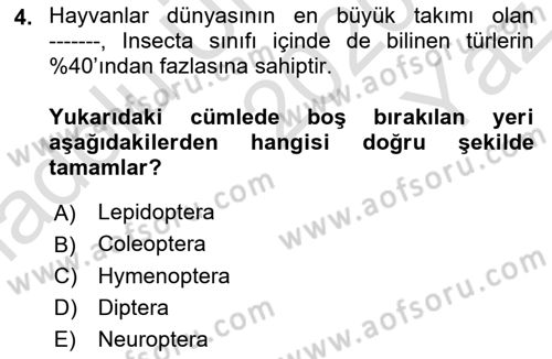 Entomoloji Dersi 2020 - 2021 Yılı Yaz Okulu Sınav Soruları 4. Soru