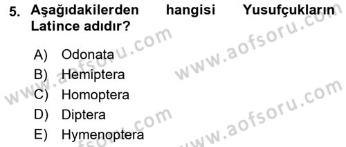 Entomoloji Dersi 2020 - 2021 Yılı Yaz Okulu Sınav Soruları 5. Soru