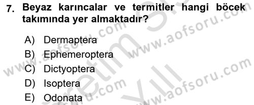 Entomoloji Dersi 2020 - 2021 Yılı Yaz Okulu Sınav Soruları 7. Soru
