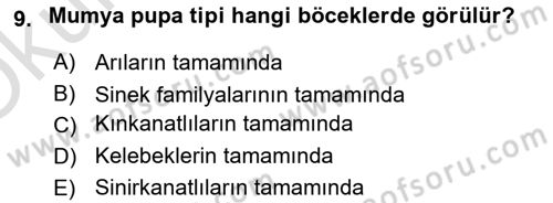 Entomoloji Dersi 2020 - 2021 Yılı Yaz Okulu Sınav Soruları 9. Soru