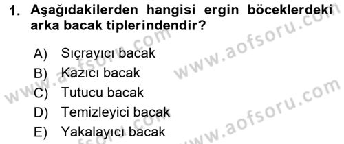 Entomoloji Dersi 2021 - 2022 Yılı (Vize) Ara Sınav Soruları 1. Soru