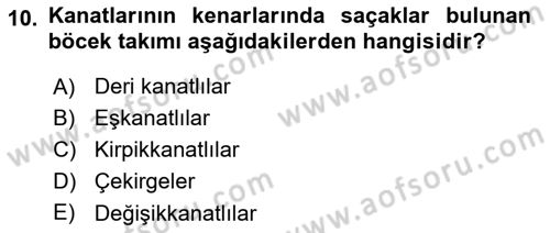 Entomoloji Dersi Ara Sınavı Deneme Sınav Soruları 10. Soru