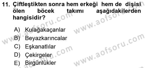 Entomoloji Dersi 2021 - 2022 Yılı (Vize) Ara Sınav Soruları 11. Soru