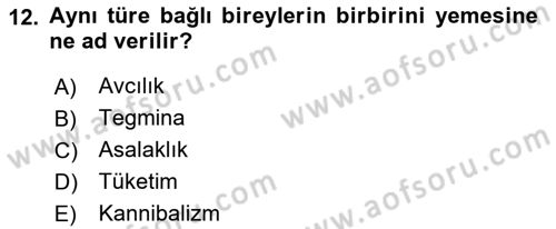 Entomoloji Dersi 2021 - 2022 Yılı (Vize) Ara Sınav Soruları 12. Soru