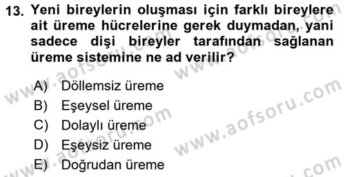 Entomoloji Dersi Ara Sınavı Deneme Sınav Soruları 13. Soru