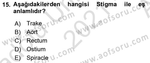 Entomoloji Dersi Ara Sınavı Deneme Sınav Soruları 15. Soru