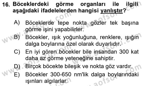 Entomoloji Dersi 2021 - 2022 Yılı (Vize) Ara Sınav Soruları 16. Soru