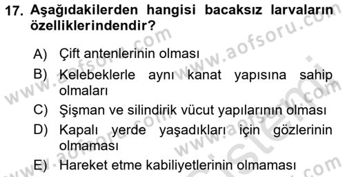 Entomoloji Dersi 2021 - 2022 Yılı (Vize) Ara Sınav Soruları 17. Soru