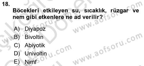 Entomoloji Dersi Ara Sınavı Deneme Sınav Soruları 18. Soru