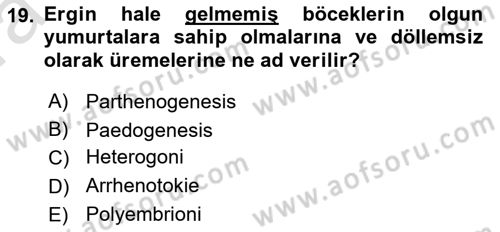 Entomoloji Dersi 2021 - 2022 Yılı (Vize) Ara Sınav Soruları 19. Soru