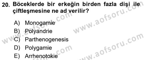 Entomoloji Dersi Ara Sınavı Deneme Sınav Soruları 20. Soru