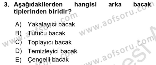 Entomoloji Dersi 2021 - 2022 Yılı (Vize) Ara Sınav Soruları 3. Soru