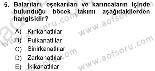 Entomoloji Dersi 2021 - 2022 Yılı (Vize) Ara Sınav Soruları 5. Soru