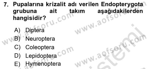 Entomoloji Dersi Ara Sınavı Deneme Sınav Soruları 7. Soru