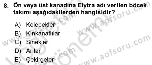 Entomoloji Dersi 2021 - 2022 Yılı (Vize) Ara Sınav Soruları 8. Soru