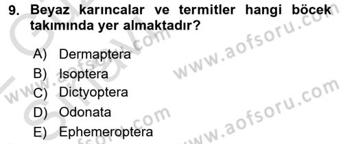 Entomoloji Dersi 2021 - 2022 Yılı (Vize) Ara Sınav Soruları 9. Soru
