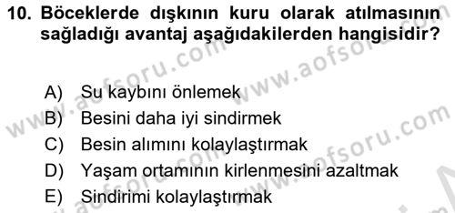 Entomoloji Dersi 2021 - 2022 Yılı (Final) Dönem Sonu Sınav Soruları 10. Soru