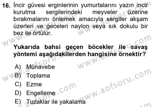 Entomoloji Dersi 2021 - 2022 Yılı (Final) Dönem Sonu Sınav Soruları 16. Soru