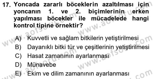Entomoloji Dersi 2021 - 2022 Yılı (Final) Dönem Sonu Sınav Soruları 17. Soru