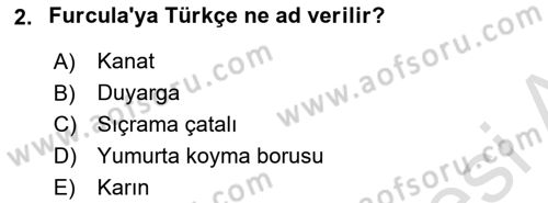 Entomoloji Dersi 2021 - 2022 Yılı (Final) Dönem Sonu Sınav Soruları 2. Soru